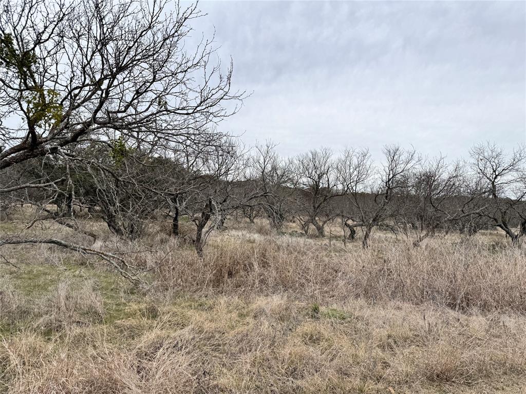 349 Oak Point Drive May, TX 76857 - Photo 10 of 13