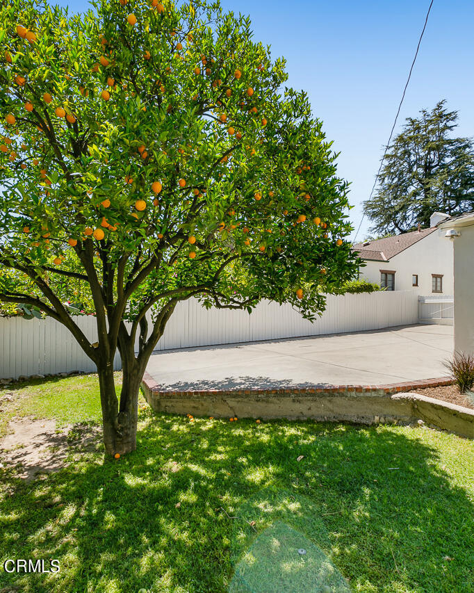 982 Athens Street Altadena, CA 91001 - Photo 23 of 25 a view of backyard with large trees