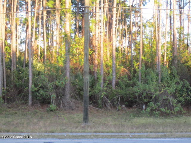 930 Degroodt Road Southwest Palm Bay, FL 32908 - Photo 24 of 29 Front view vacant Land