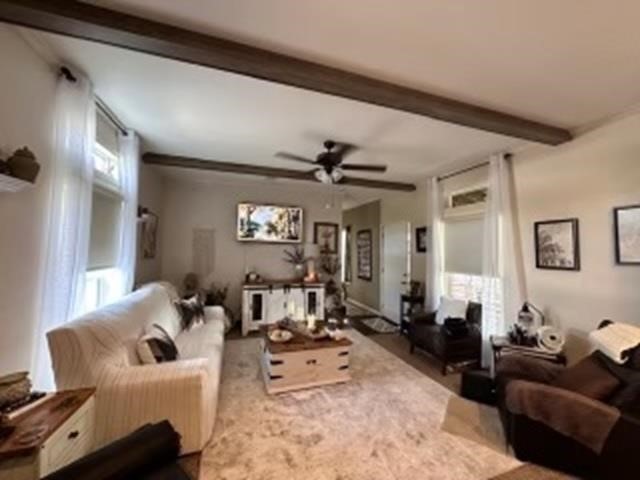 290 County Road 642 Buna, TX 77612 - Photo 20 of 31