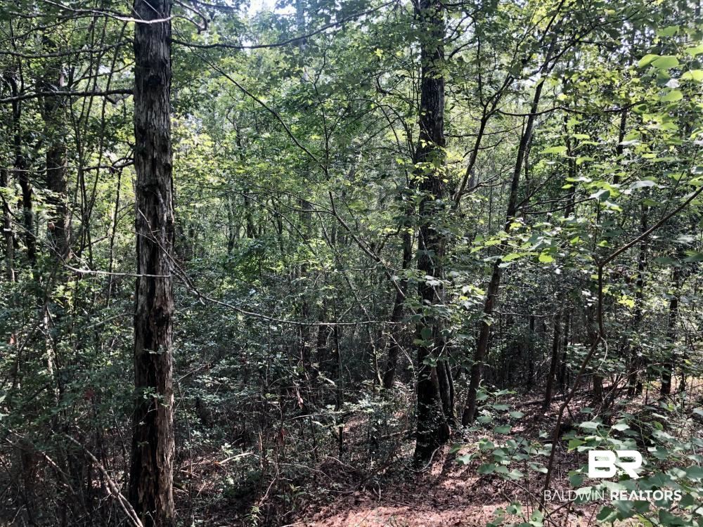 18560 Mason Street Citronelle, AL 36522 - Photo 23 of 45