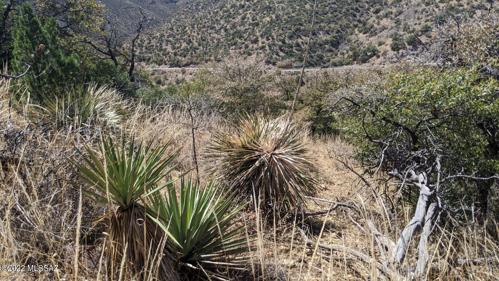 Tbd Adams Avenue, Unit MULTIPL Bisbee, AZ 85603 - Photo 23 of 35