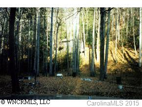 618 Saw Branch Road Candler, NC 28715 - Photo 1 of 1 Gallery Image 1