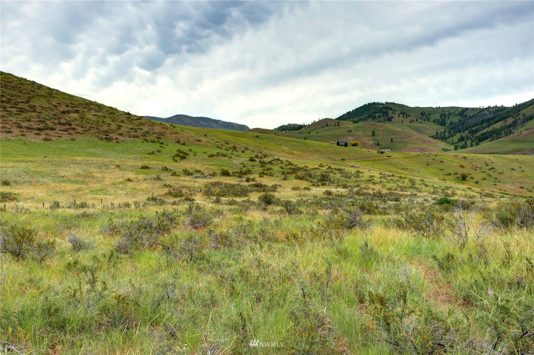 0 Davis Lake Ranch Road Winthrop, WA 98862 - Photo 34 of 38 Gallery Image 34