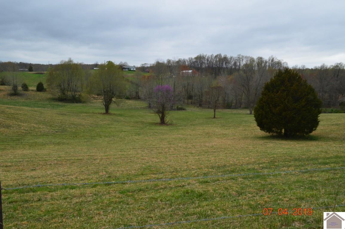 0 Jake Dukes Road Grand Rivers, KY 42045 - Photo 1 of 1 Photo 1