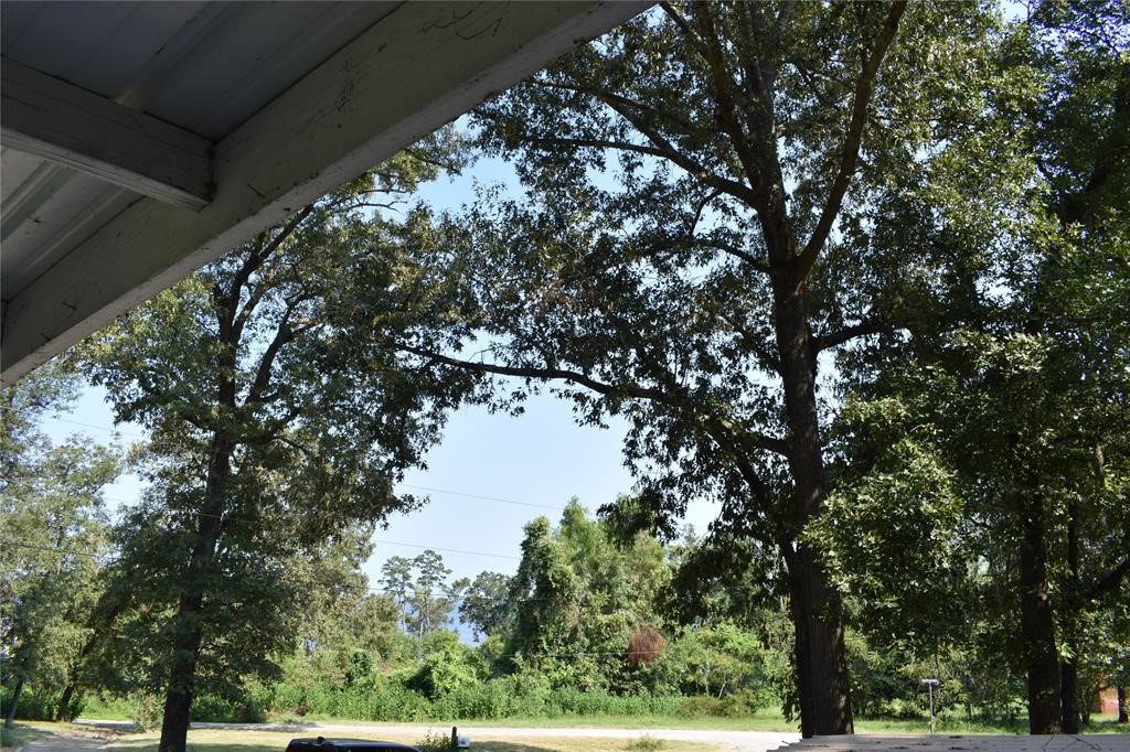 15 Walnut Lane Point Blank, TX 77364 - Photo 6 of 31 a view of tree