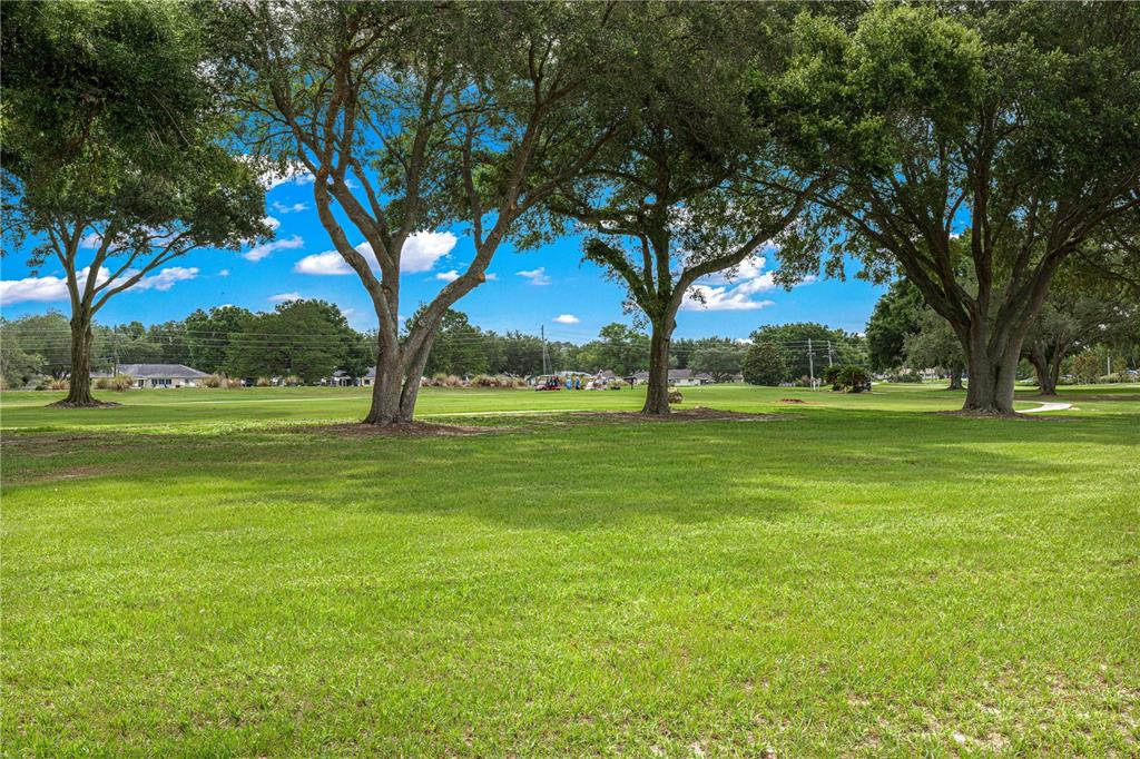 9359 Southwest 94th Loop Ocala, FL 34481 - Photo 55 of 66
