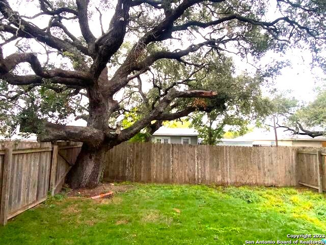 716 Uvalde Street, Unit B Pleasanton, TX 78064 - Photo 9 of 10 a view of a backyard with a tree