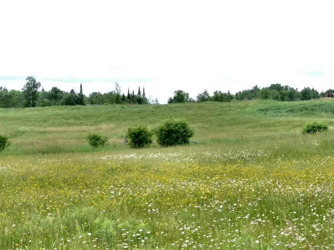 W5237 Granberg Road Prentice, WI 54556 - Photo 15 of 16 Gallery Image 15