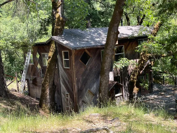 a view of a yard with trees