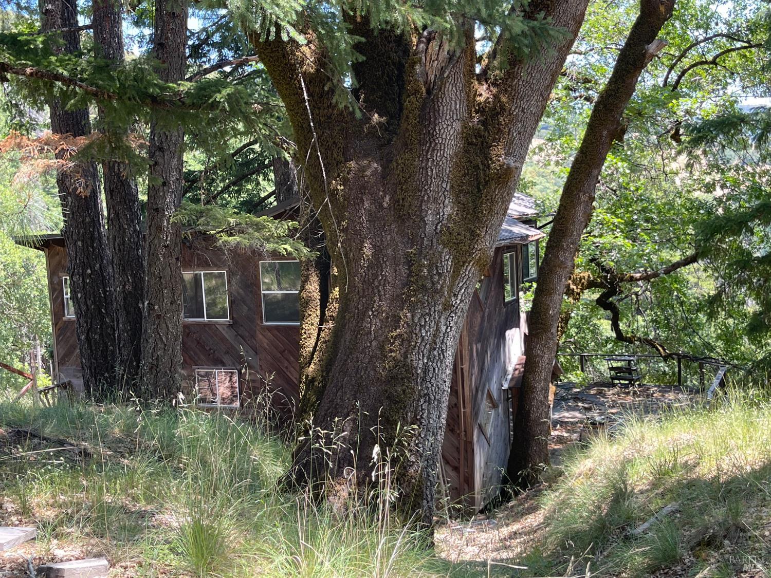 59641 Bell Springs Road Laytonville, CA 95454 - Photo 21 of 60