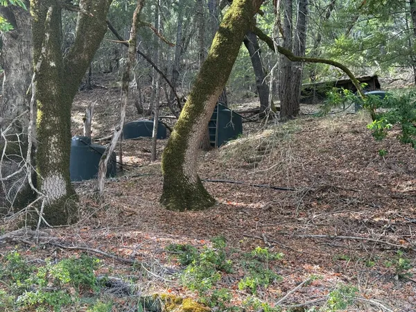 $249,000 | 59641 Bell Springs Road, Laytonville, CA 95454