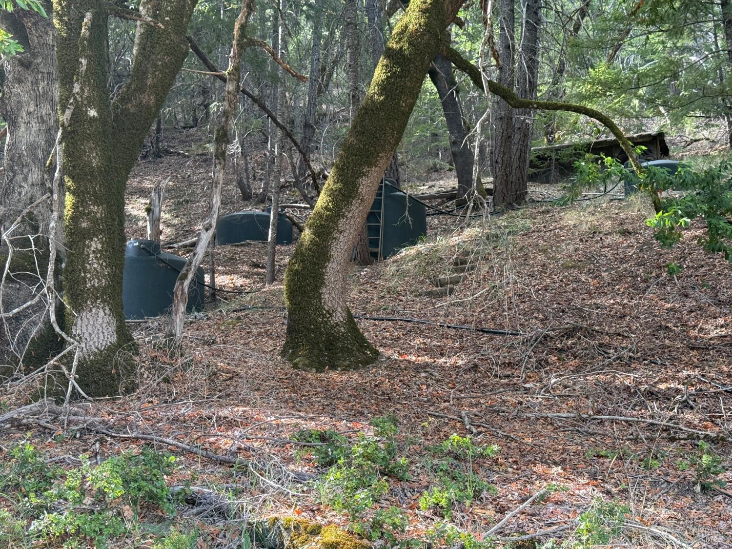 59641 Bell Springs Road Laytonville, CA 95454 - Photo 50 of 60