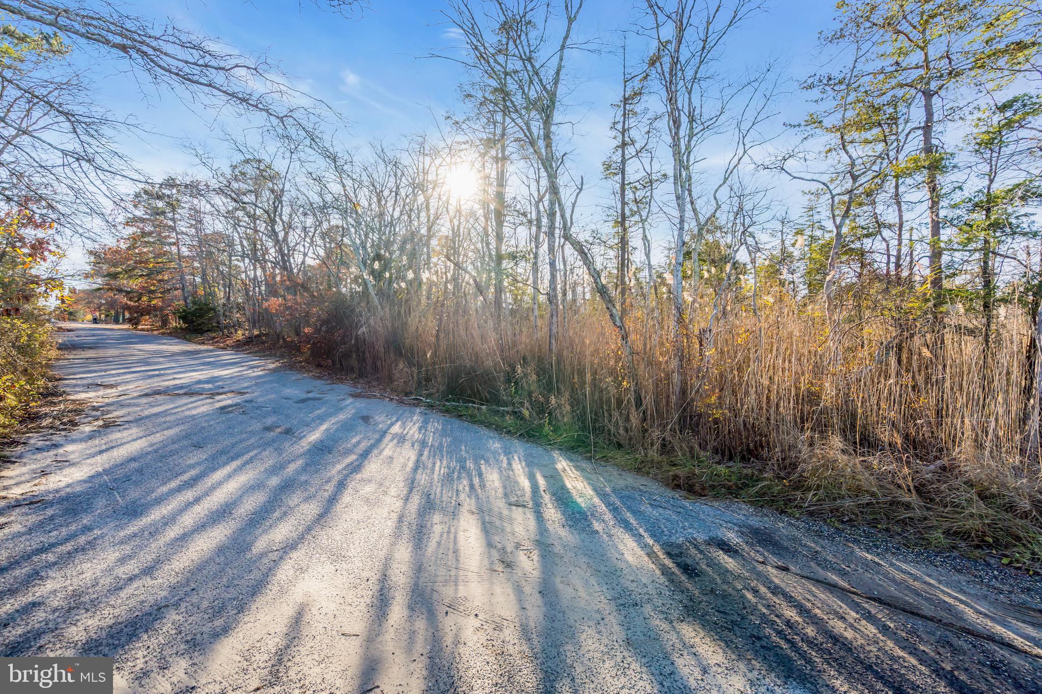 3 Dock Avenue Waretown, NJ 08758 - Photo 11 of 19 a view of backyard with green space