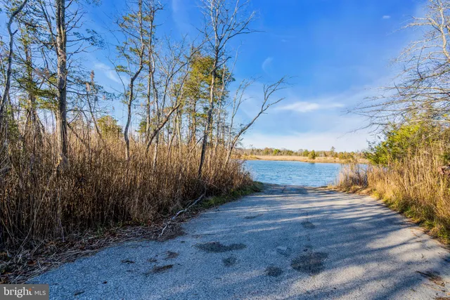 a view of a backyard of a house