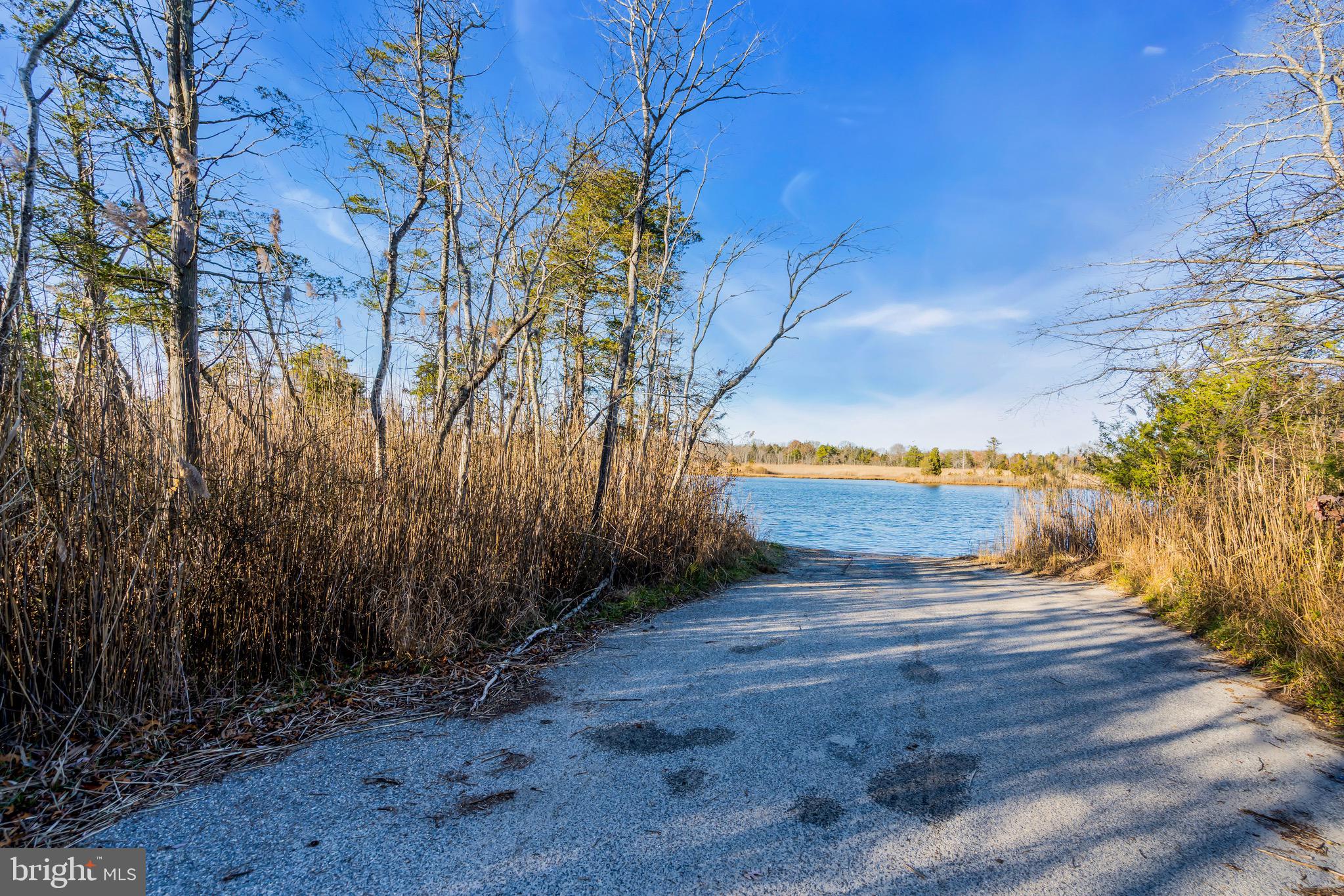 3 Dock Avenue Waretown, NJ 08758 - Photo 12 of 19 a view of a yard with an outdoor space