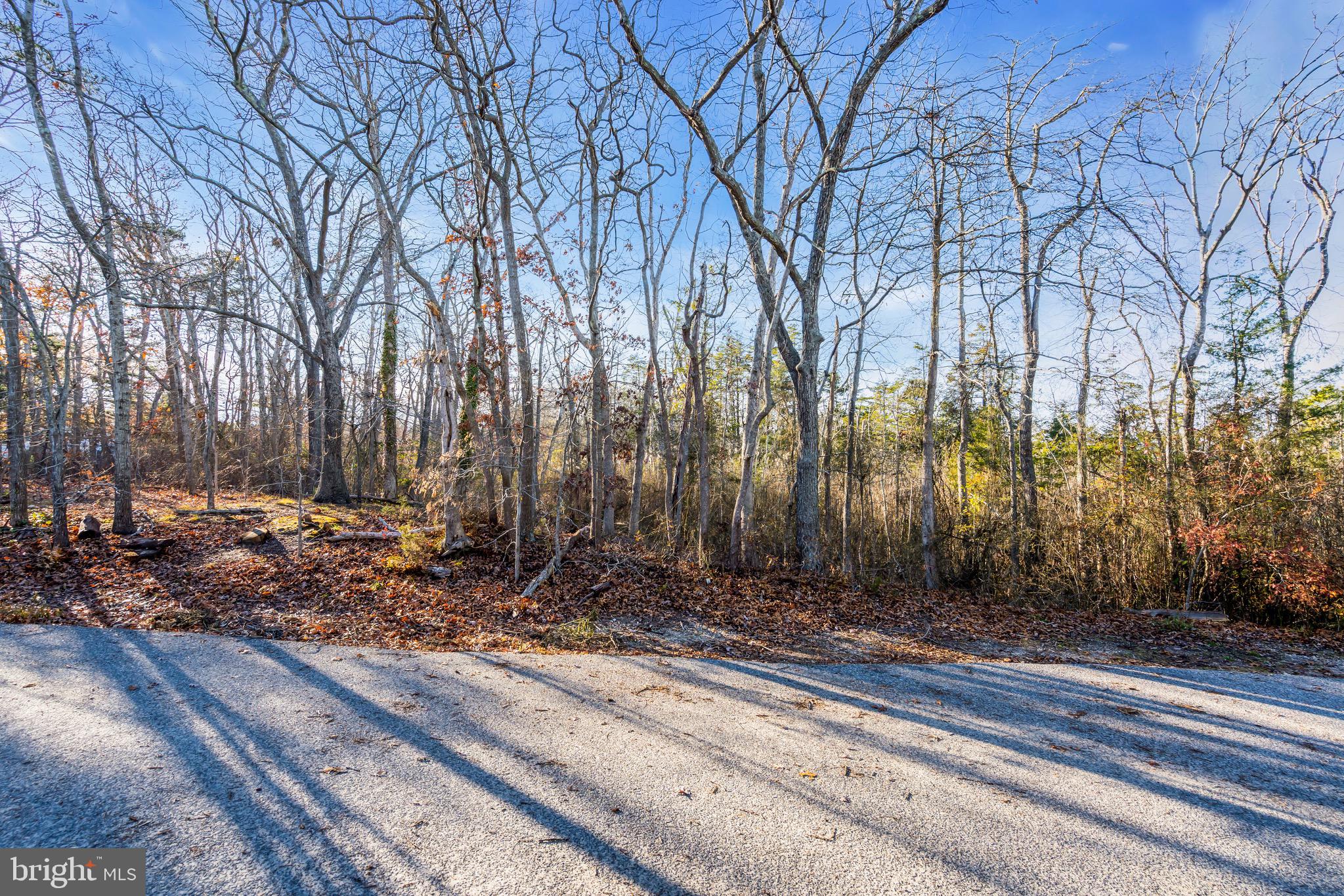 3 Dock Avenue Waretown, NJ 08758 - Photo 13 of 19 a view of a backyard of a house