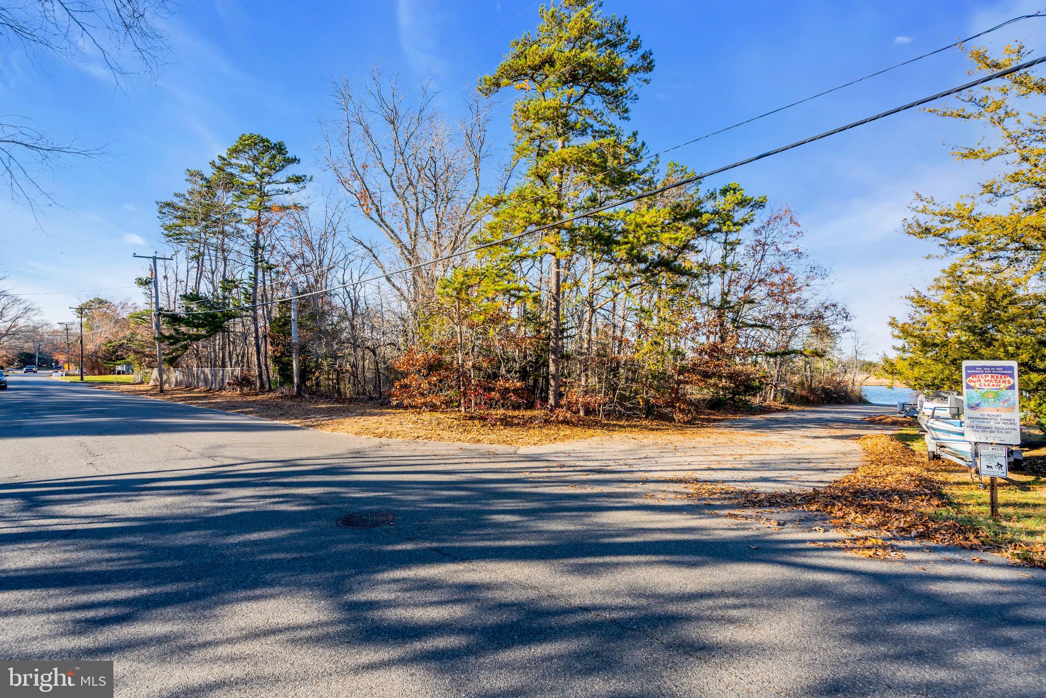 3 Dock Avenue Waretown, NJ 08758 - Photo 15 of 19 a vase of flowers sitting on a table