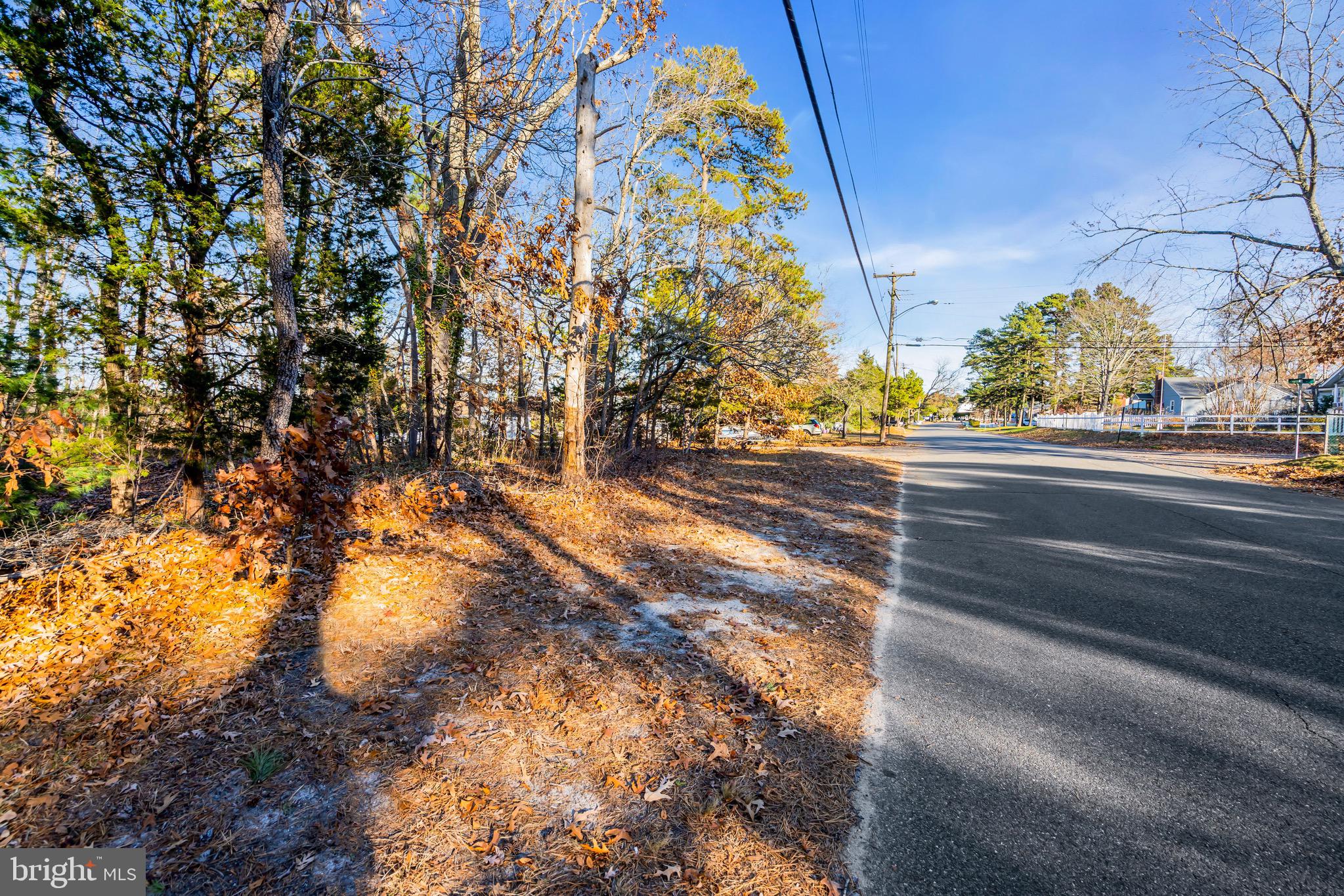 3 Dock Avenue Waretown, NJ 08758 - Photo 19 of 19 a view of backyard with green space