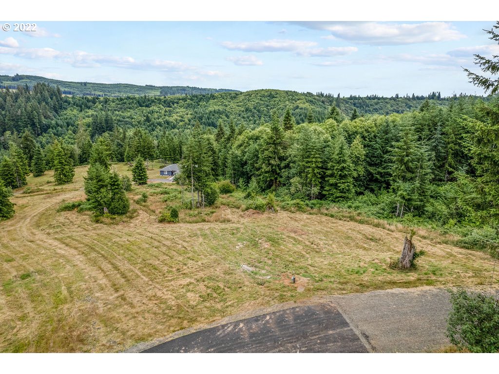 3 Bison Run Longview, WA 98632 - Photo 2 of 4
