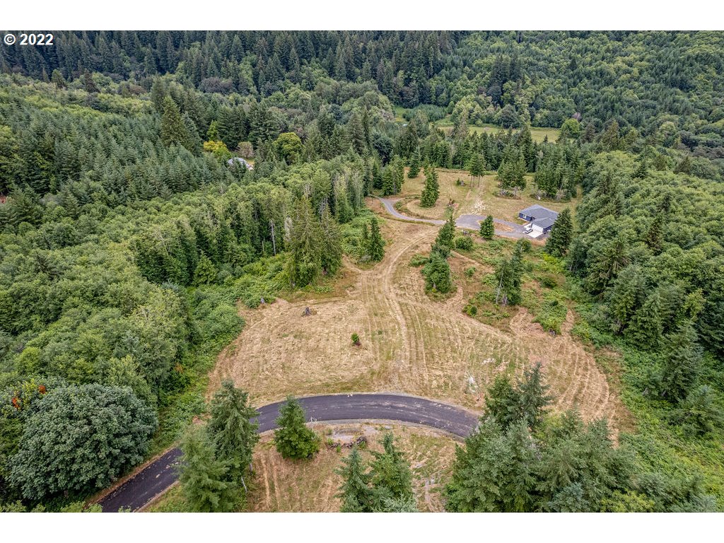 3 Bison Run Longview, WA 98632 - Photo 3 of 4
