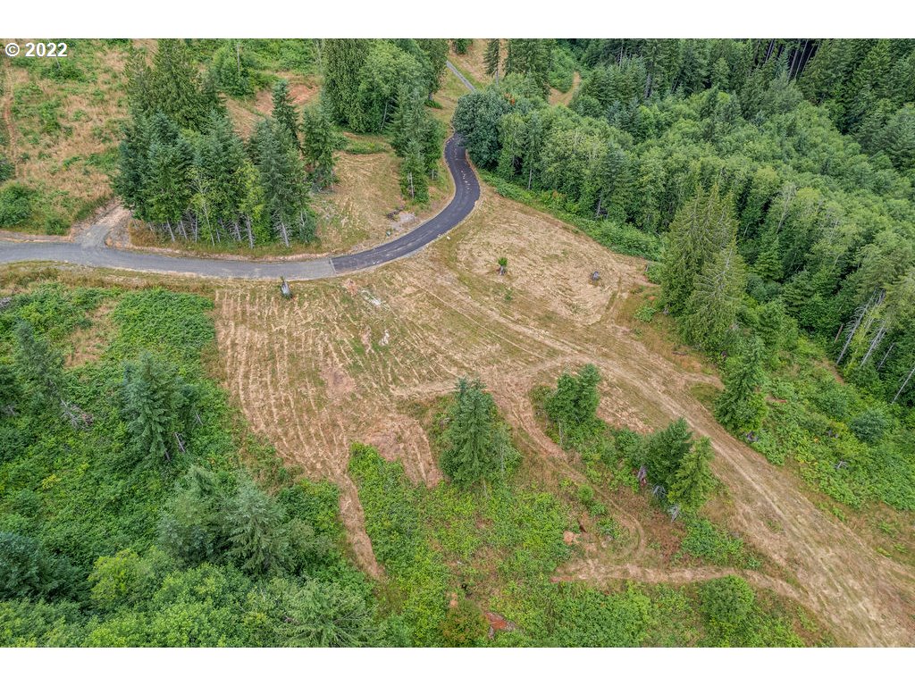 3 Bison Run Longview, WA 98632 - Photo 4 of 4