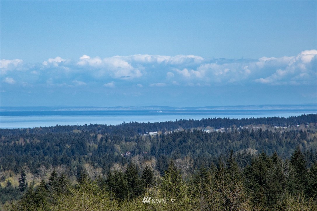 1308 Eden Valley Road Port Angeles, WA 98363 - Photo 11 of 22 Gallery Image 11