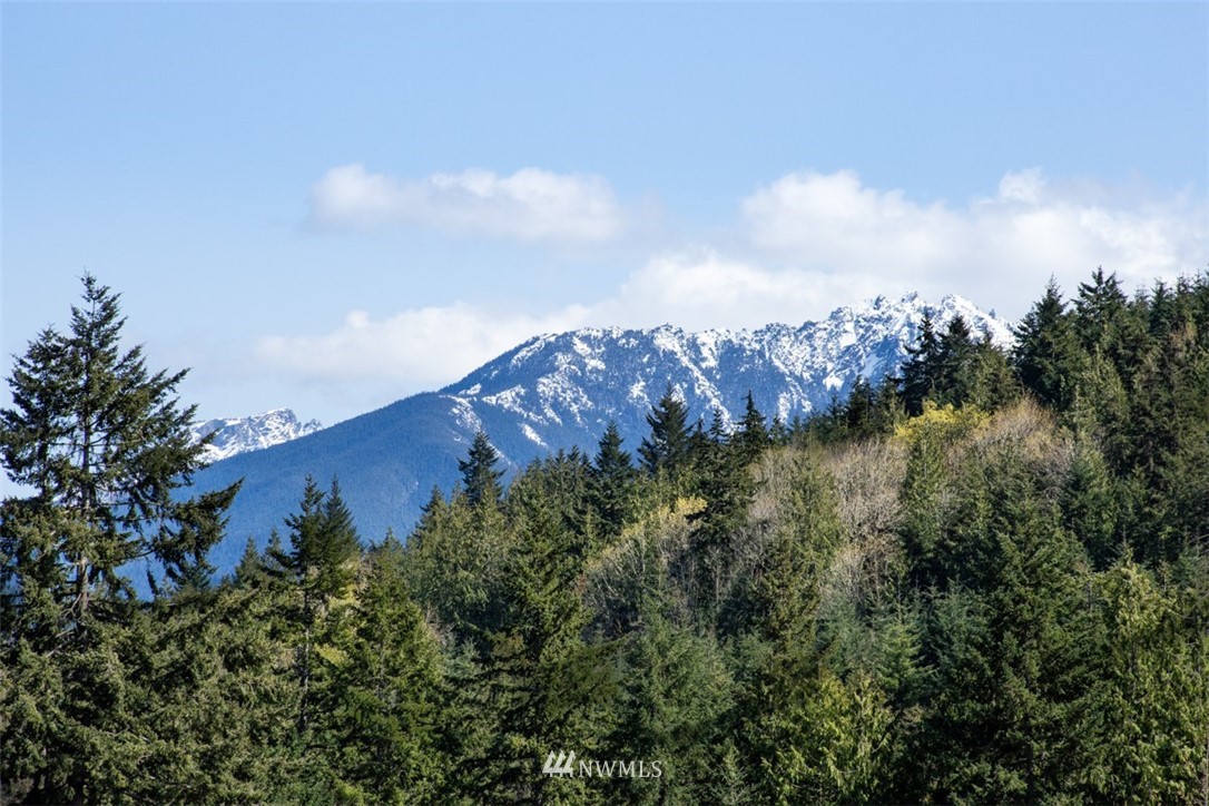1308 Eden Valley Road Port Angeles, WA 98363 - Photo 9 of 22 Gallery Image 9