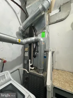 a view of a backyard with plants