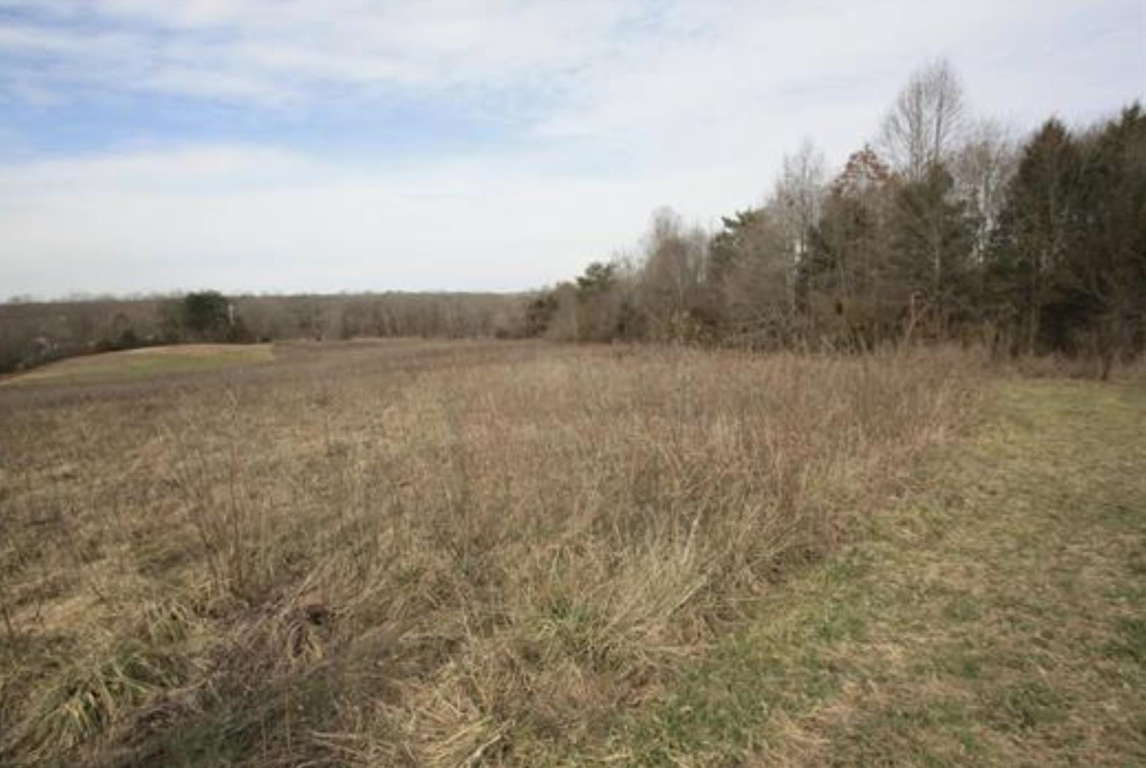 0 Grassy Pond Creek Road Gaffney, SC 29341 - Photo 1 of 3