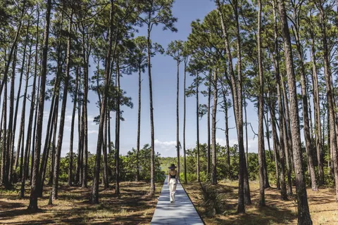 $16,900,000 | 285 Twisted Pine Trail, Santa Rosa Beach, FL 32459