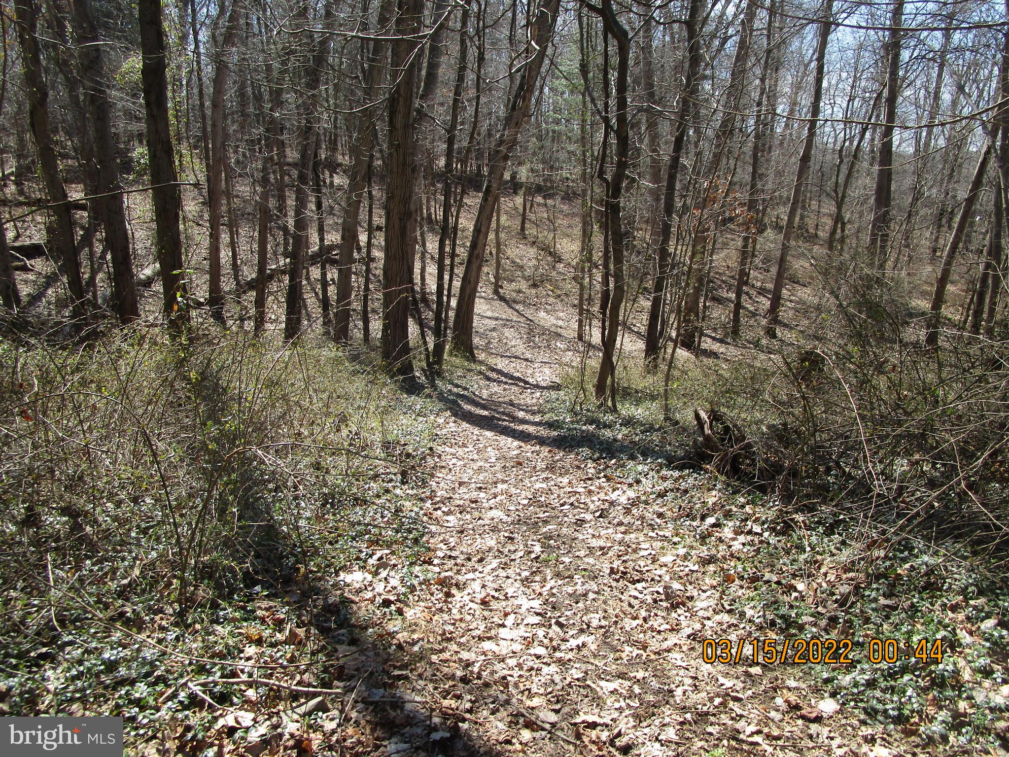 913 Old Pylesville Road Pylesville, MD 21132 - Photo 11 of 14 Trails through 9 acres of woods
