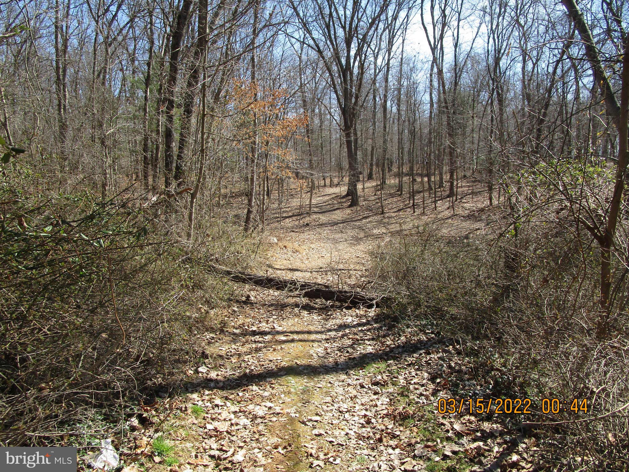 913 Old Pylesville Road Pylesville, MD 21132 - Photo 12 of 14 Trails through 9 acres of woods