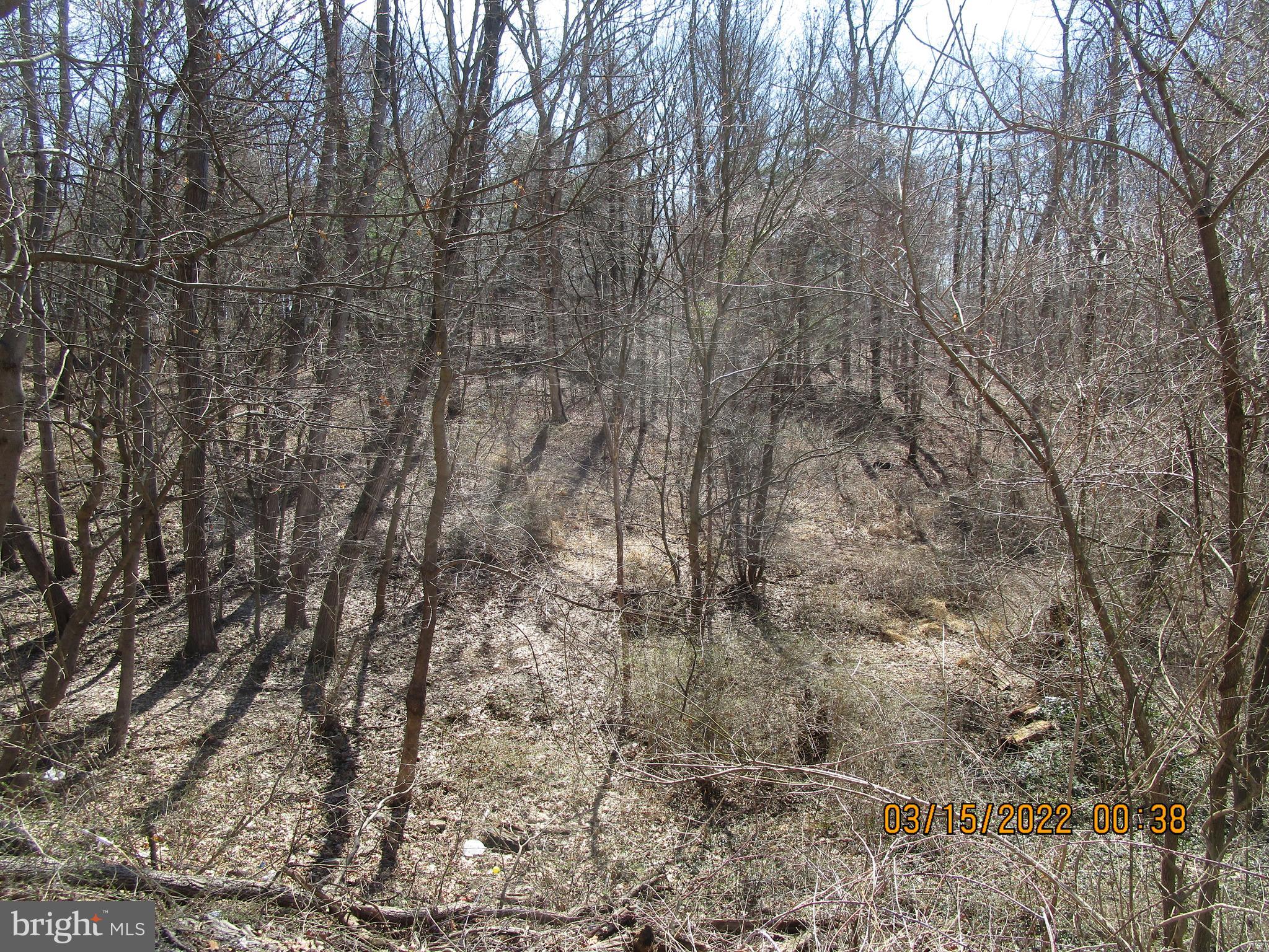 913 Old Pylesville Road Pylesville, MD 21132 - Photo 8 of 14 Trails through 9 acres of woods