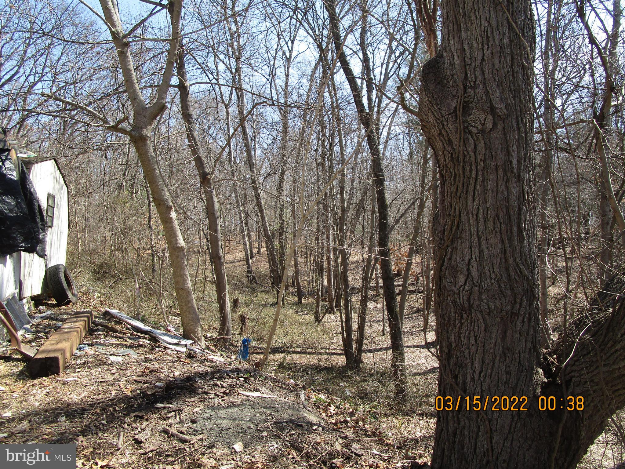 913 Old Pylesville Road Pylesville, MD 21132 - Photo 9 of 14 Trails through 9 acres of woods