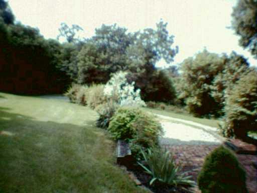 3102 Provost Road Whitehall, PA 15227 - Photo 5 of 5 Yard/Garden.