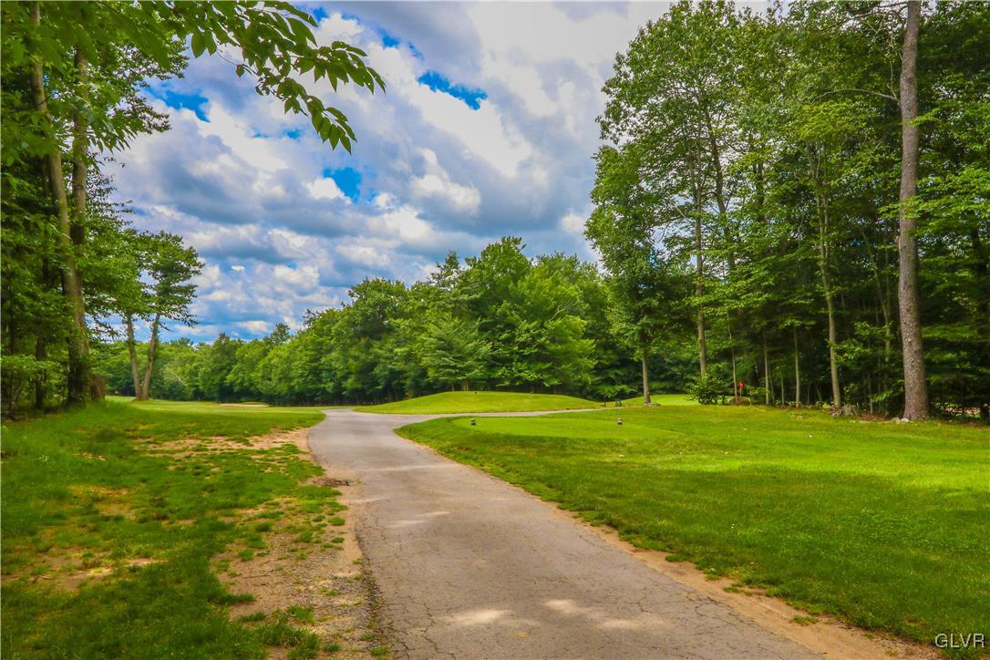 1271 Kilmer Road Tobyhanna, PA 18466 - Photo 30 of 36 a view of a big yard with plants and large trees
