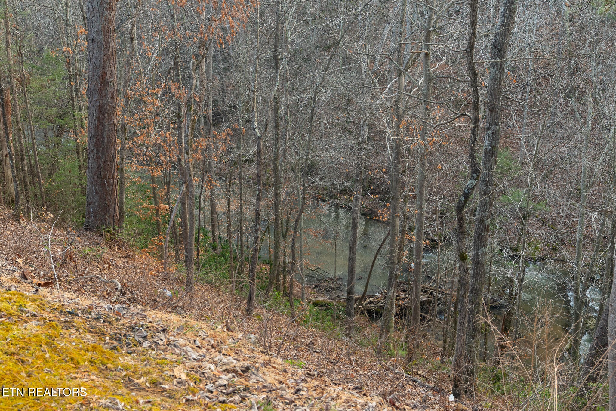 3318 Covered Bridge Way Sevierville, TN 37862 - Photo 43 of 49