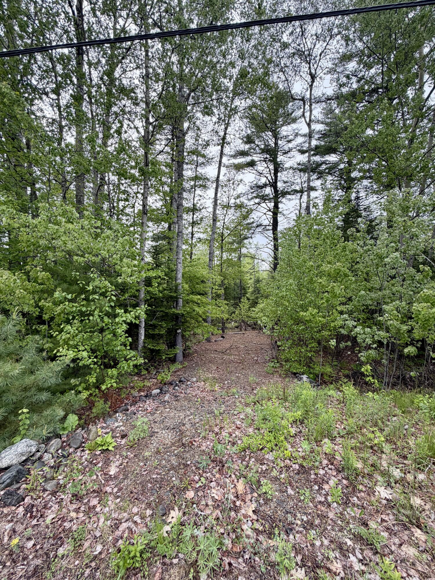 M19-l1 Airline Road Clifton, ME 04428 - Photo 8 of 9 IMG_0293