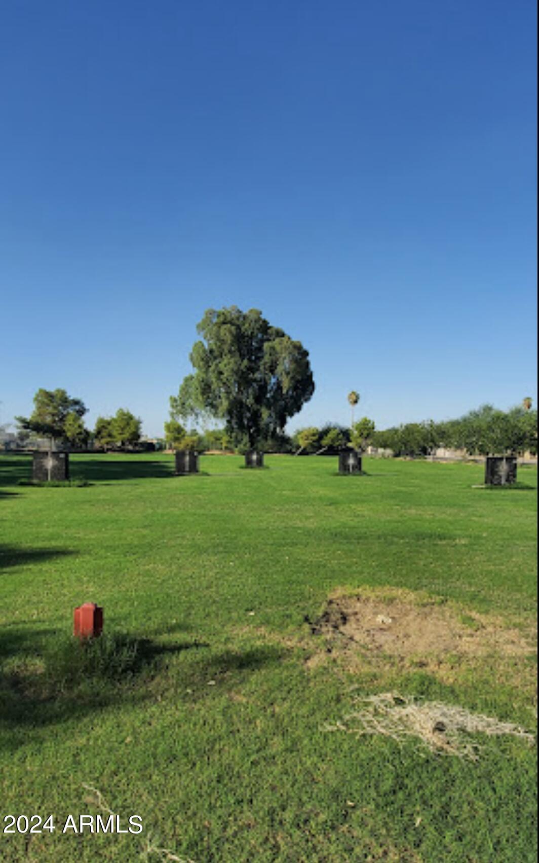 7231 West Flower Street Phoenix, AZ 85033 - Photo 20 of 22 a view of a field with large trees