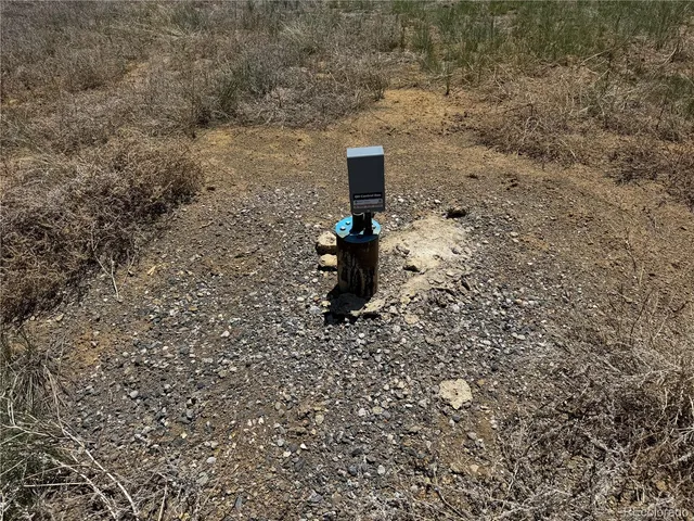 a green field with trees in the background
