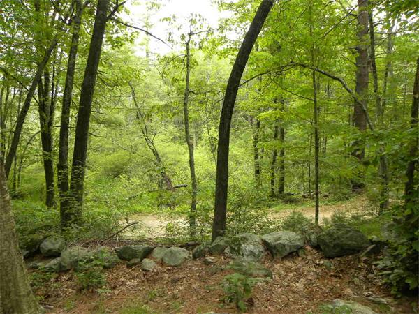 14 A Bay Path Road Charlton, MA 01507 - Photo 20 of 25