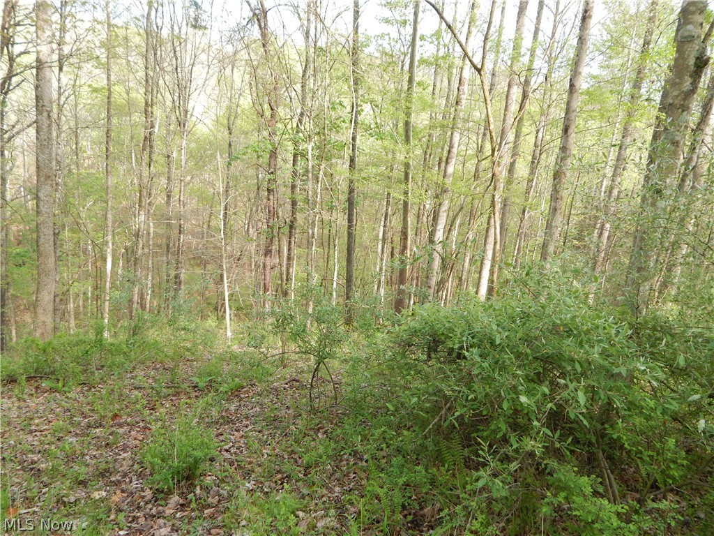 6248 Oil Ridge Harrisville, WV 26362 - Photo 29 of 34