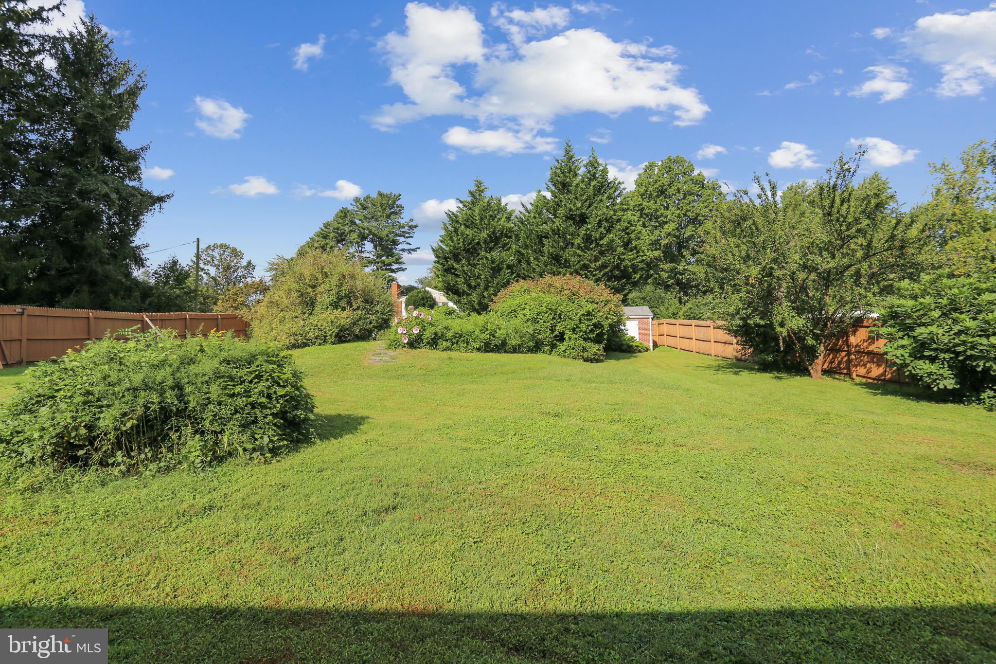 15600 Layhill Road Silver Spring, MD 20906 - Photo 58 of 63 Back yard