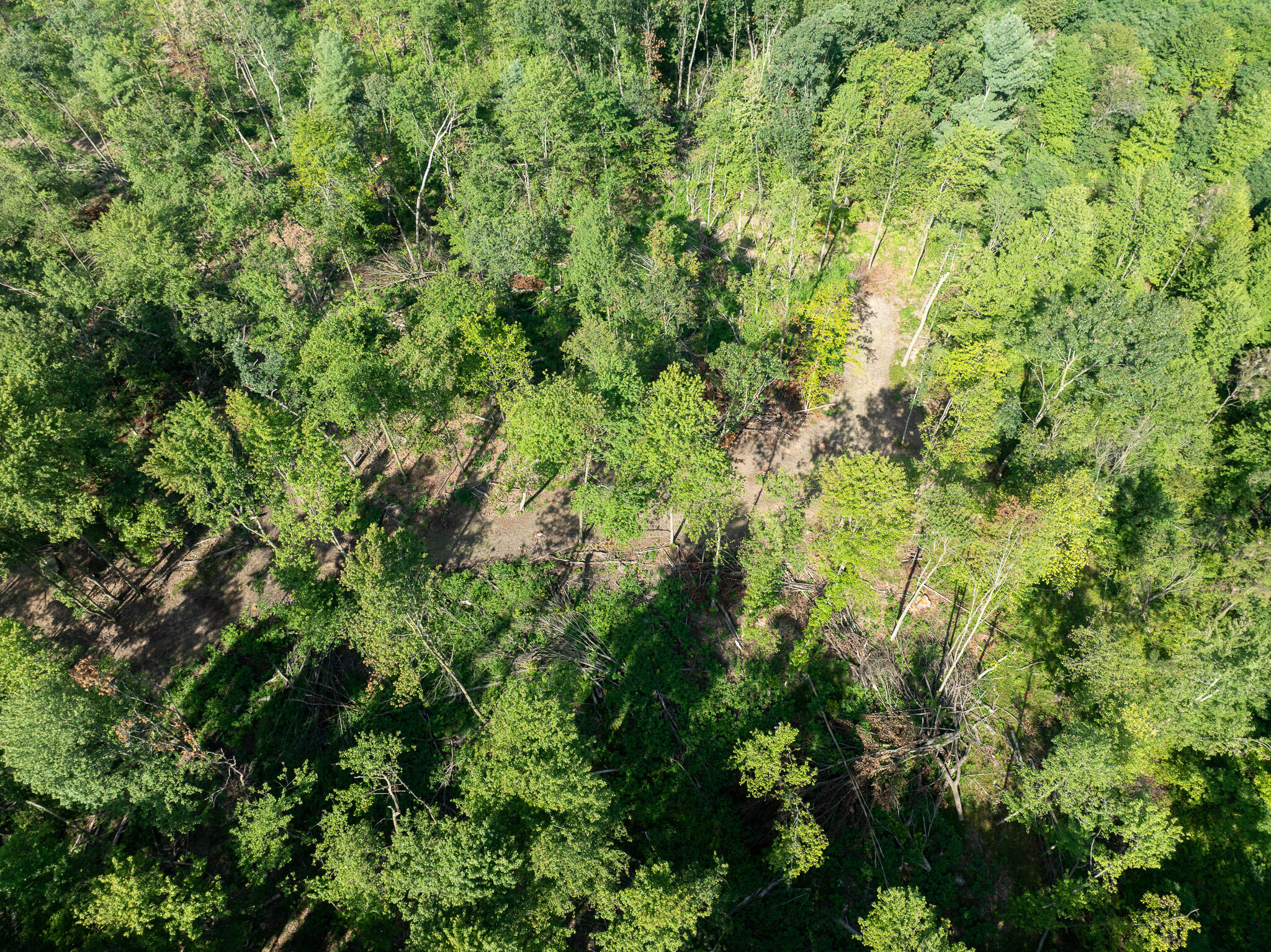 Vl Swenson Road Holton, MI 49425 - Photo 37 of 46 DJI_0588