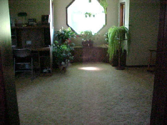 5982 Town Line Road Leaf River, IL 61047 - Photo 3 of 6 Gallery Image 3