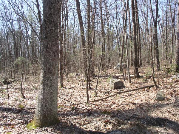 Lot 3 Fisk Road Gilbertville, MA 01031 - Photo 2 of 3 Gallery Image 2