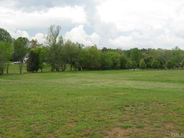 480 Ferguson Road Siler City, NC 27344 - Photo 10 of 12 Your horse will love this pasture.