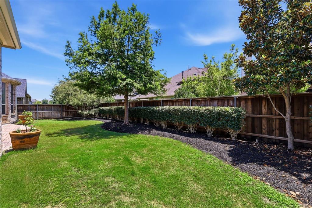 1933 Snapdragon Road Frisco, TX 75033 - Photo 38 of 40 Expansive lawn area featuring a privacy fence, mature trees, and a landscaped bed with dark mulch and manicured shrubs