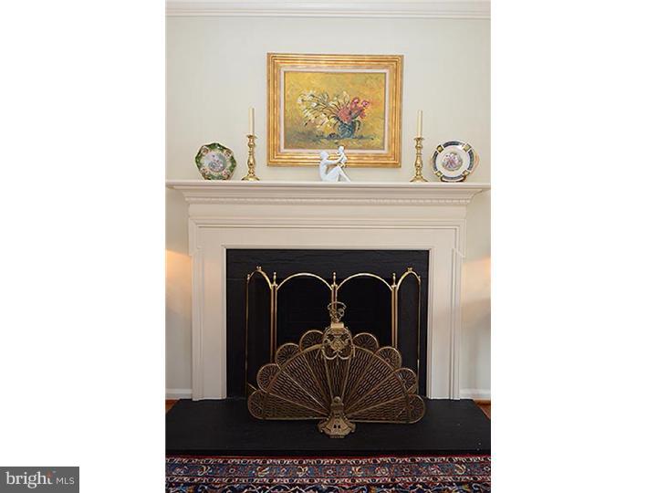 653 Thomas Jefferson Road Wayne, PA 19087 - Photo 21 of 22